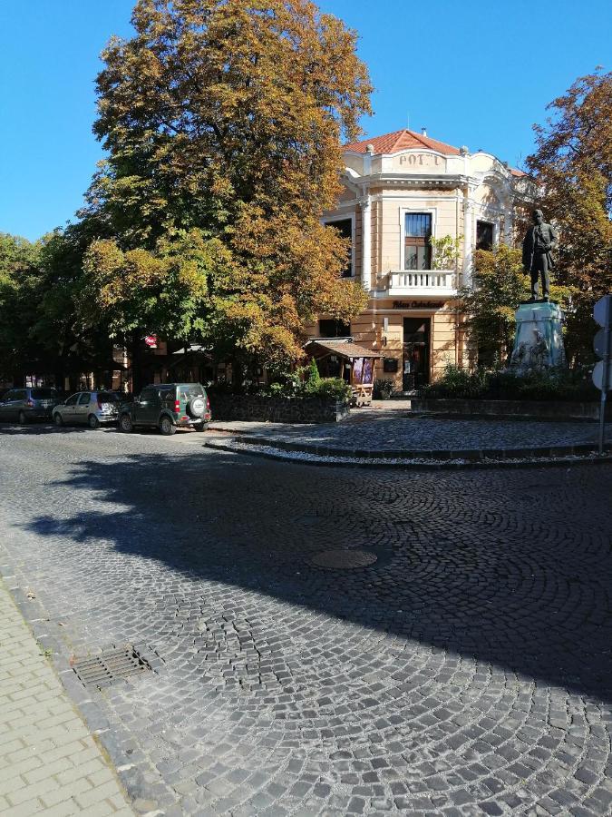 Kisfaludy -sümeg- * Sümeg